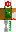 skin of a player