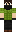 skin of a player