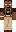 skin of a player