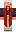 skin of a player