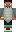 skin of a player