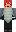 skin of a player