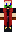 skin of a player