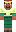 skin of a player