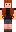 skin of a player