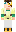 skin of a player