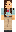 skin of a player