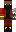 skin of a player