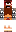 skin of a player