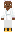 skin of a player