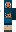 skin of a player