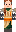 skin of a player