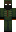 skin of a player