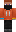 skin of a player
