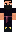 skin of a player
