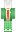 skin of a player