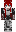 skin of a player